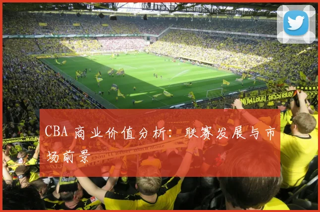 CBA 商业价值分析:联赛发展与市场前景